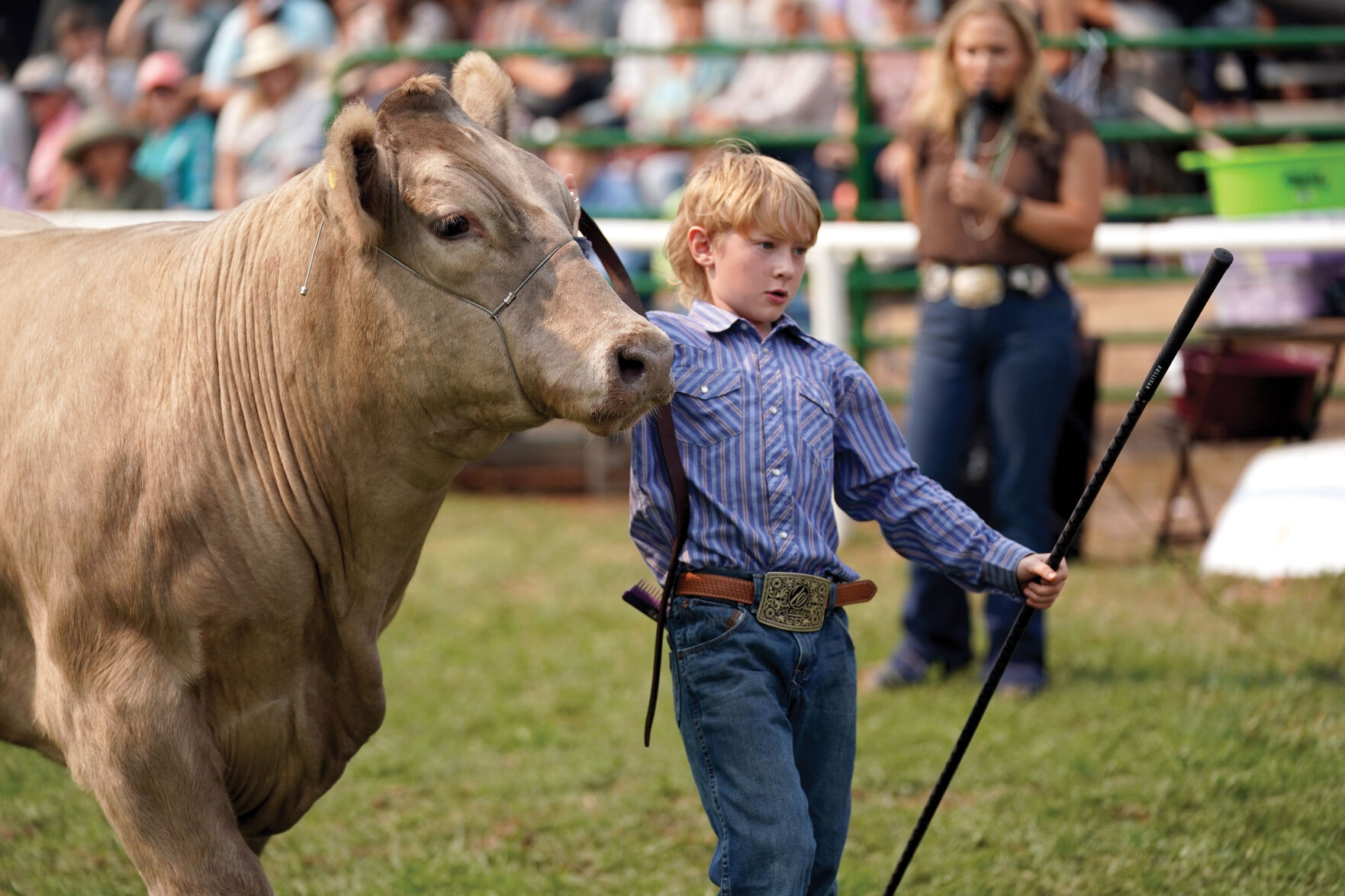 Beef Show Standalones 003.jpg